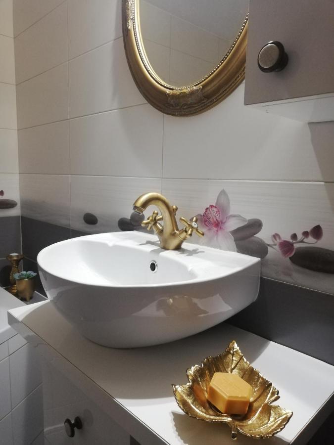 Maison Rosmina Брашов Экстерьер фото
